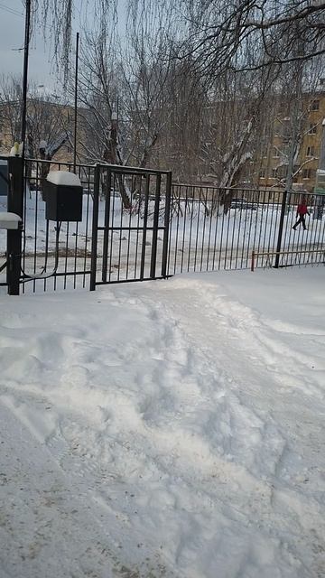 №1240 Двор П. Осипенко 48. 30 декабря 2025 г., 11:04:40 VID_20251230_110426733