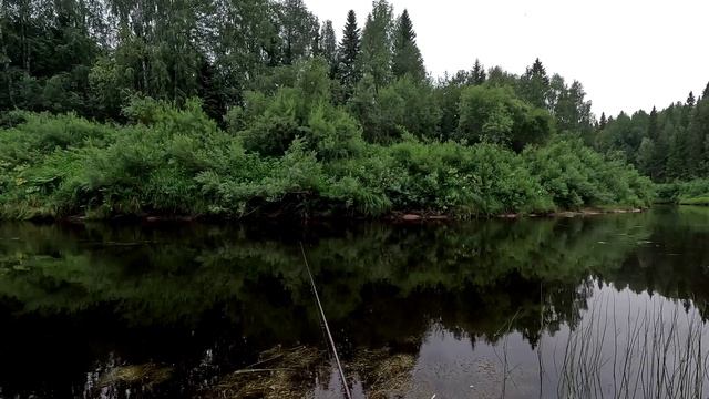 Путешествие по таёжной реке Путешествие по таёжной реке