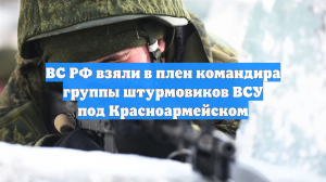 ВС РФ взяли в плен командира группы штурмовиков ВСУ под Красноармейском