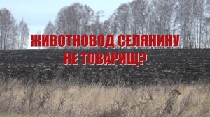 Специальный репортаж «Животновод селянину не товарищ?»