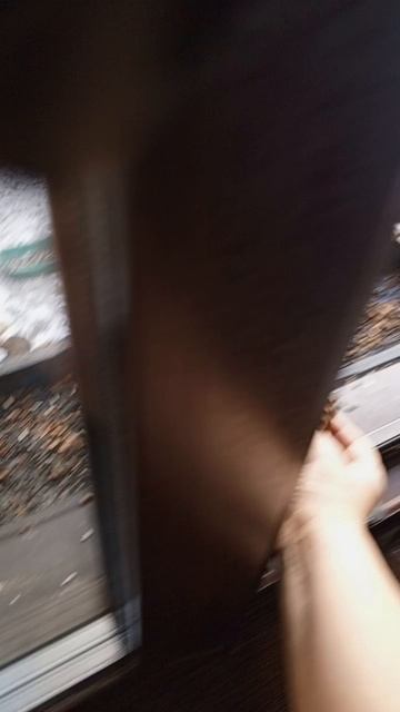 угощает белку бояку