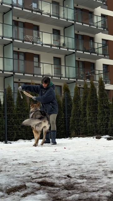 Игровая мотивация влчака