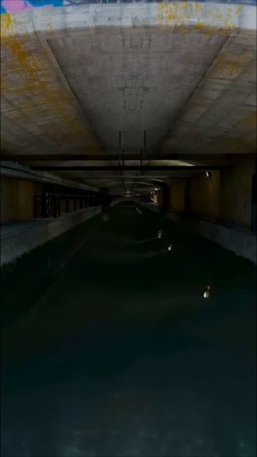 GTA 6 — ЭТО БУДЕТ КОШМАР #shorts #gta6 #gta #gtavi #gtav #gta5 #gtaonline #gtarp #reels #vertical