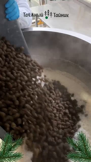 🌲Процесс, который стоит за любимым вкусом