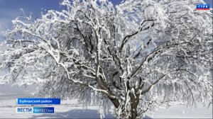 Вести Дагестан 04.02.26 г. 21.15