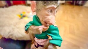 Маня и Степа осваивают комнаты-уже ДОИГРАЛИСЬ  до кухни)))