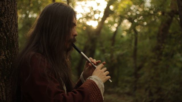 Балдурс Гейт 3 / Baldurs Gate 3 — The Weeping Dawn Alfiras Song — Cover by Dryante