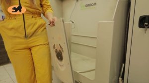 short documentary film