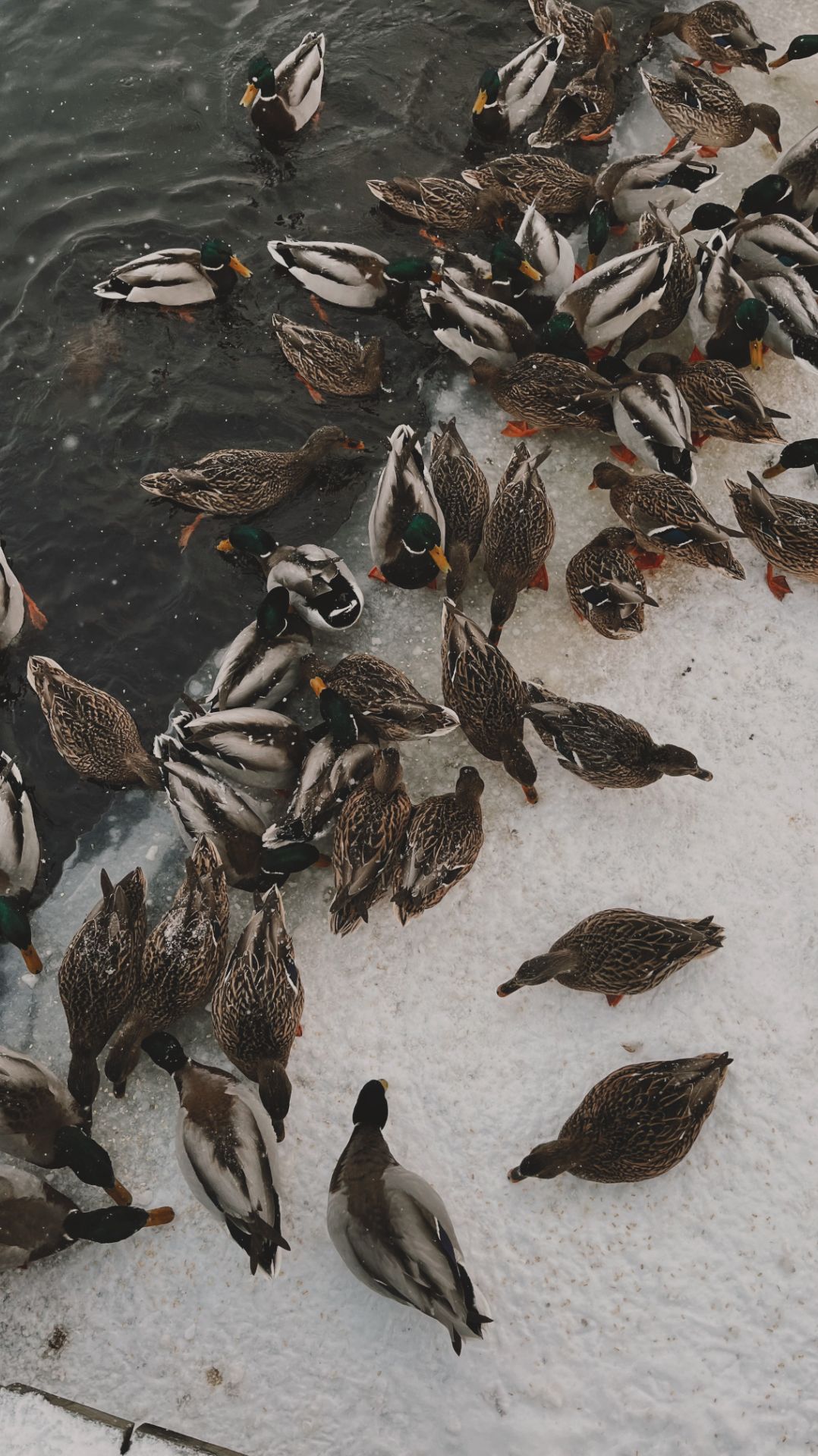 ЗОЖ во время путешествий