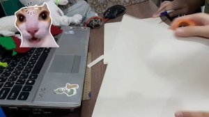 жу нас появился кролик!!! /влог с Басиком и  Лили /кроляяя