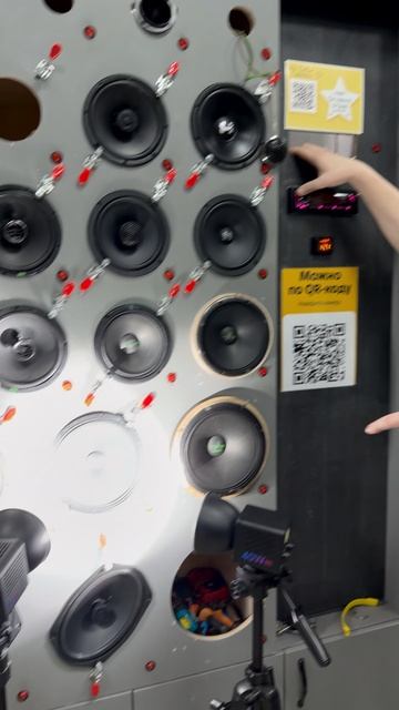 Динамик, который влезет в любую дверь — DST SARMAT 20S