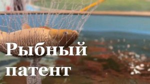 В Луганске запатентуют собственный рецепт комбикорма для карпа