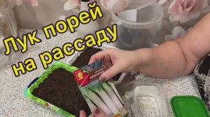 Лук порей. Посев рассады 26.01.26
