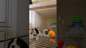 наблюдение за землятресениями в Краснодаре