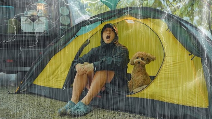 Одиночный поход под проливным дождём с моей собачкой, Чудовищный ливень. Уютный отдых в палатке. смотреть онлайн