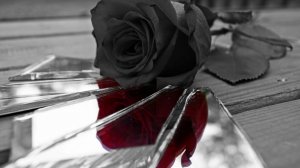 ПЕСНЯ: "Прошедшая любовь, похожа так на сон".