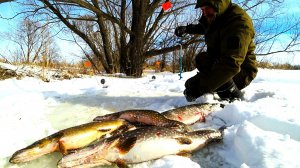ПОПАЛ В ЛОГОВО ОГРОМНЫХ ЩУК! ОГО...ЭТОТ РУЧЕЙ КИШИТ РЫБОЙ Здесь зацепы оживают-