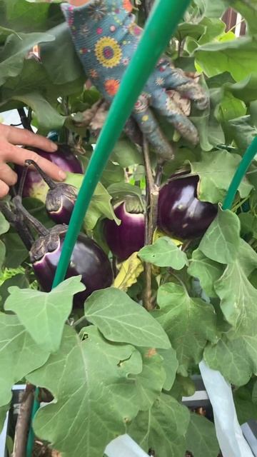 Вспоминаем 13 сентября 2024 года. смотреть онлайн