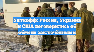 Уиткофф: Россия, Украина и США договорились об обмене 314 военнопленных