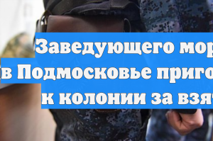 Заведующего моргом в Подмосковье приговорили к колонии за взятки