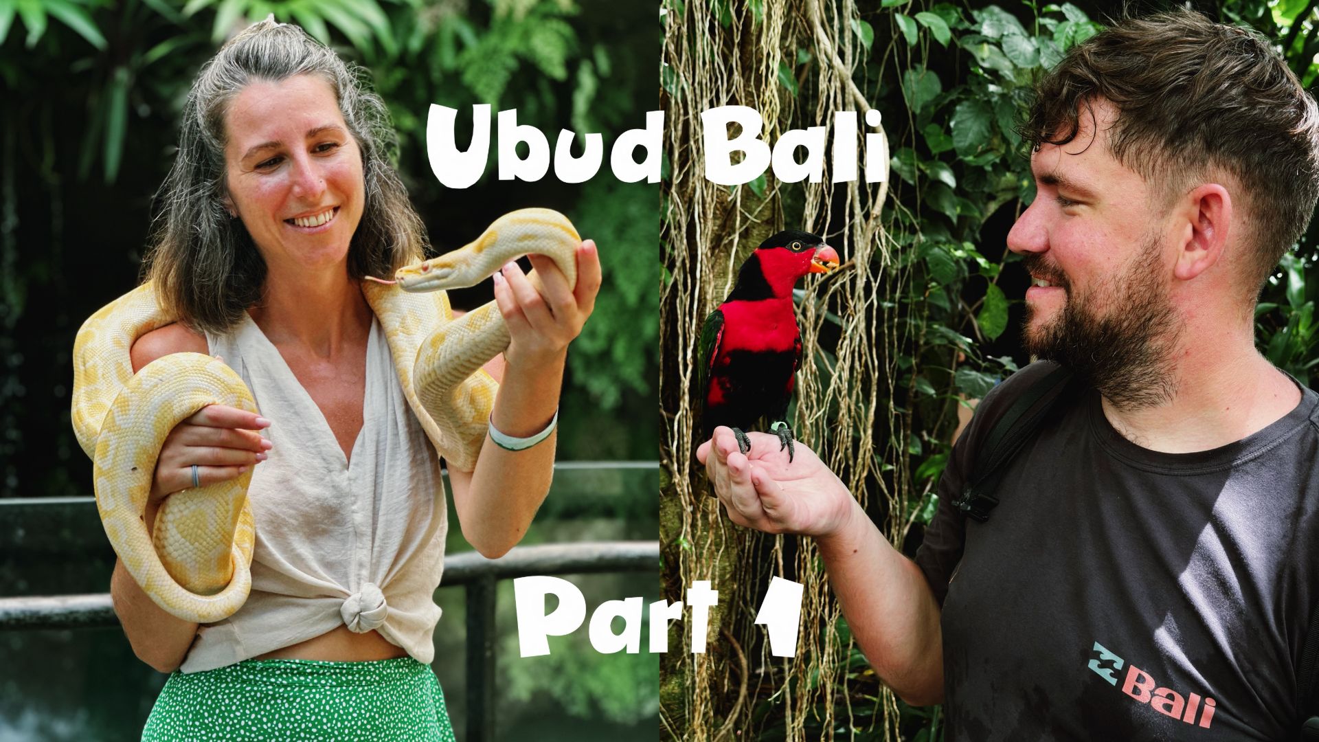 Vlog visited the bird and reptile park in Ubud / Влог посетили парк птиц и рептилий