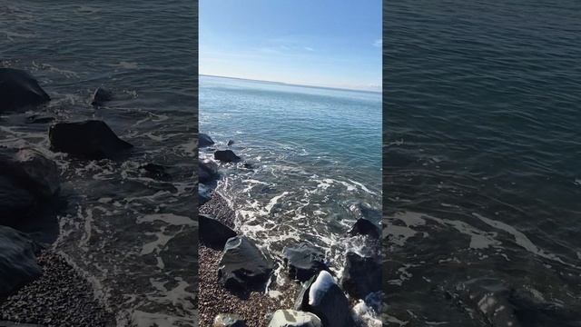 Прогулка 4 февраля 2026г