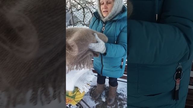 89507716355 Новинка! Пуховые палантины цвета капучино и белоснежного. Большого размера. Ласковые смотреть онлайн