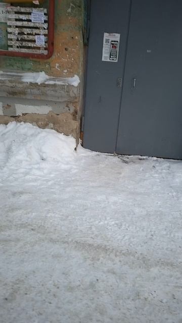 №1234 Двор П. Осипенко 48. 30 декабря 2025 г., 11:01:23 VID_20251230_110112413