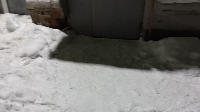 №1227 Двор П. Осипенко 48. 29 декабря 2025 г., 18:42:39 VID_20251229_184217586