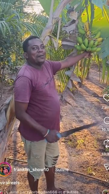 Обсуждения нормальные