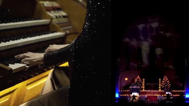 Проект Три органа