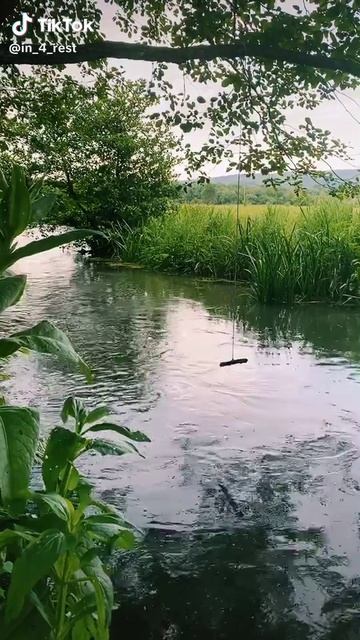 8d13b7704933423af6810a2914b439a2_1770099564491.mp4