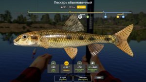 ТОЧКА НА ПЕСКАРЯ ТРОФЕЙНОГО!!!ВОЛХОВ - РУССКАЯ РЫБАЛКА 4