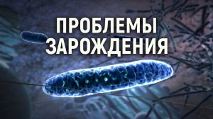 Митохондрия. Энергия для жизни всех организмов. Проблемы естественного отбора