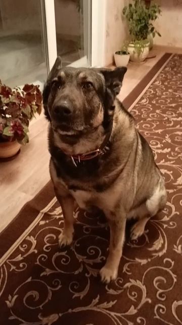 Стихотворение — "Жизнь…"