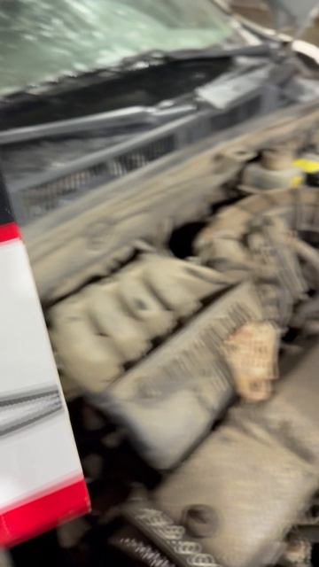 Китайский Gates🤣 смотреть онлайн