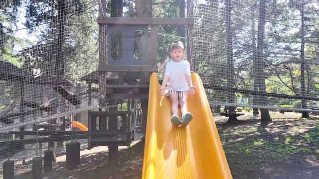 Парк отель промо