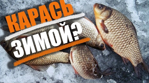 Секреты ловли КАРАСЯ в ЗИМНИЙ период... Где ЗИМОЙ прячется КАРАСЬ, и как его ЛОВИТЬ смотреть онлайн