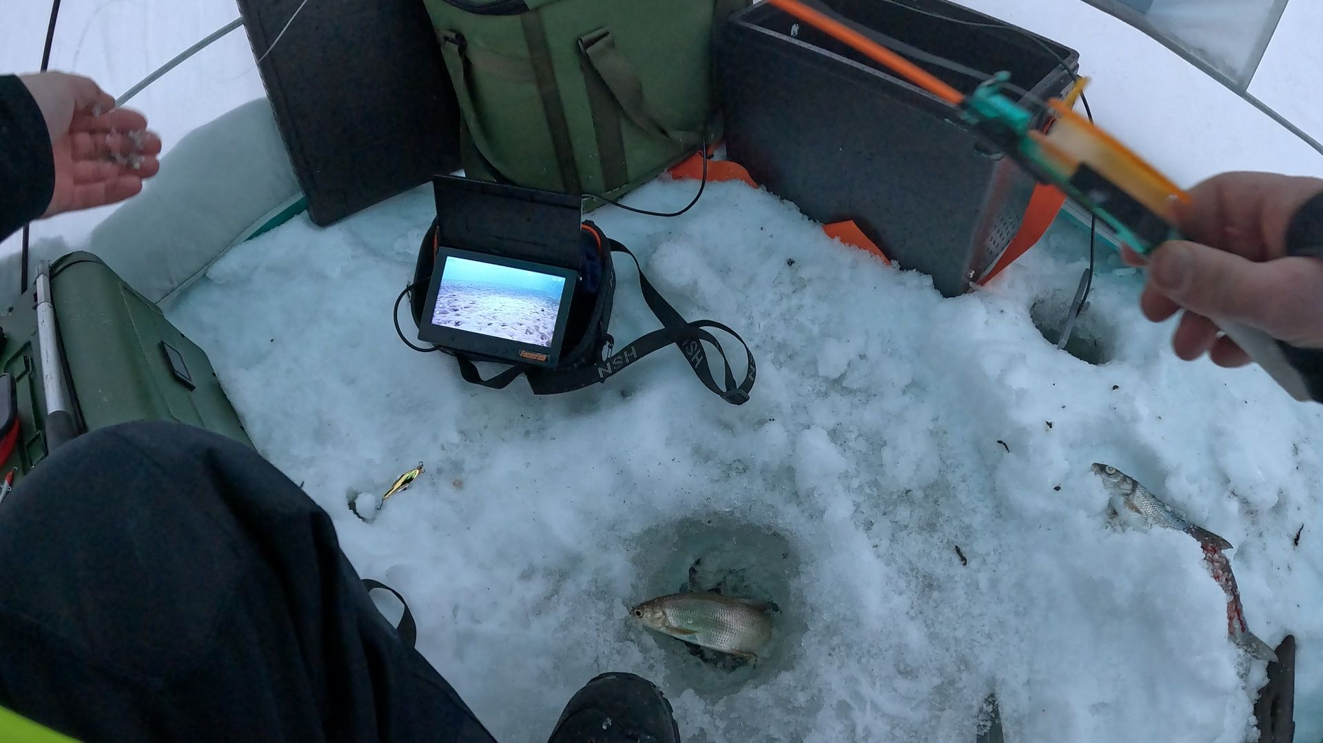 РЫБАЛКА НА СИГА С ПОДВОДНОЙ КАМЕРОЙ FOCUSFISH смотреть онлайн