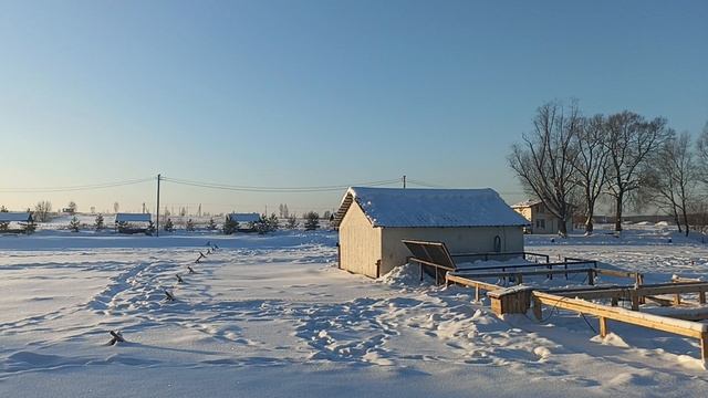 1000094370.mp4 смотреть онлайн