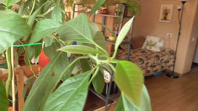 2025 03 смотреть онлайн