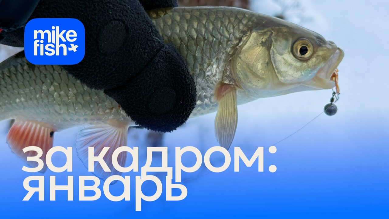 За кадром: рыбалки в декабре и январе