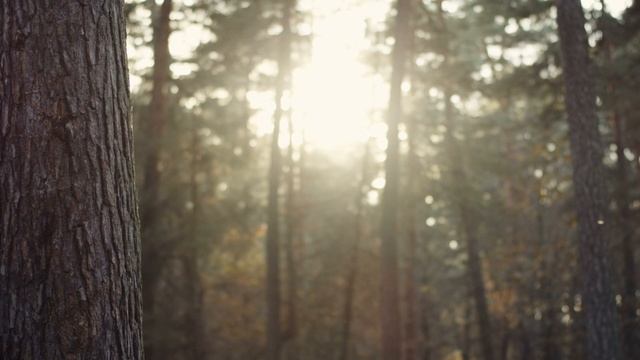 Поддержка себя