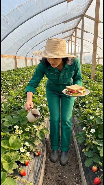 ИЗ РЕКОМЕНДАЦИЙ ПОДПИСЧИКА.