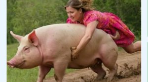 Слабоумие и Отвага