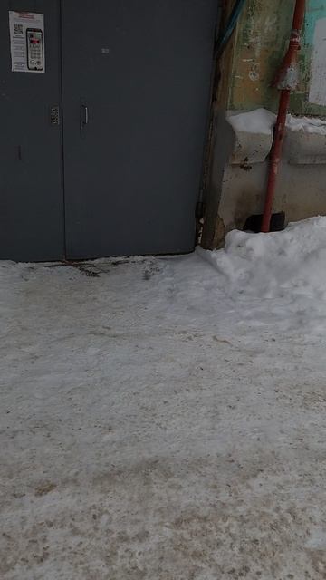 №1246 Двор П. Осипенко 48. 31 декабря 2025 г., 14:52:00 VID_20251231_145150267