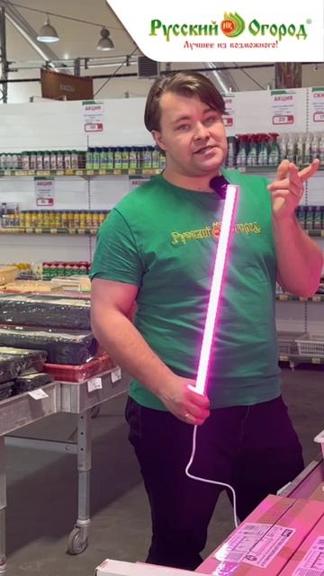 Как рассчитать время досветки рассады в феврале?