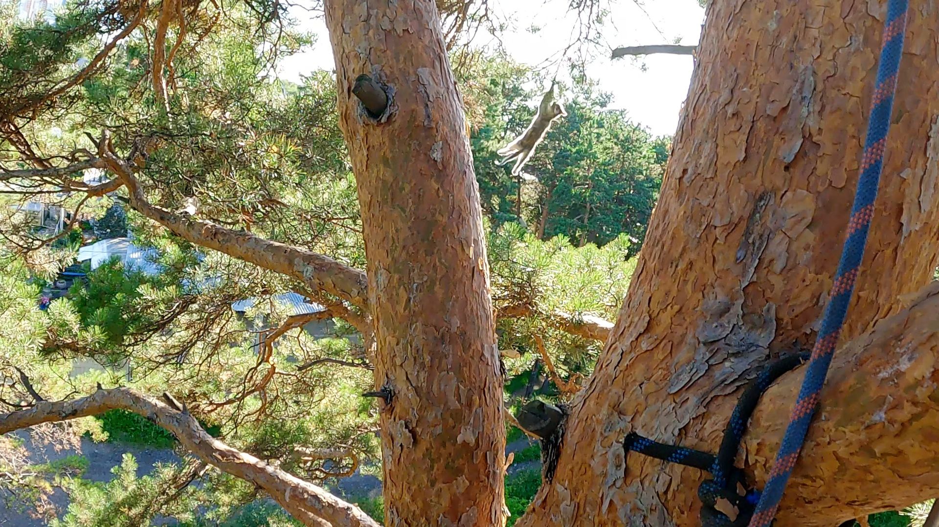 ..а я опять не дамся! ..а я опять не дамся!