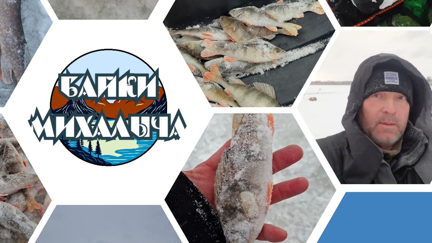 Карась зимняя рыбалка .03-02-2026