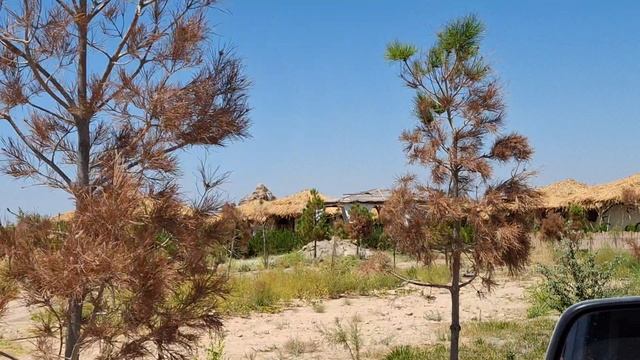 на столько жарко что решили на целый день остаться в бассейне